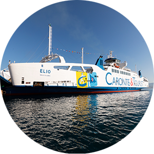 Vernici antivegetative al silicone